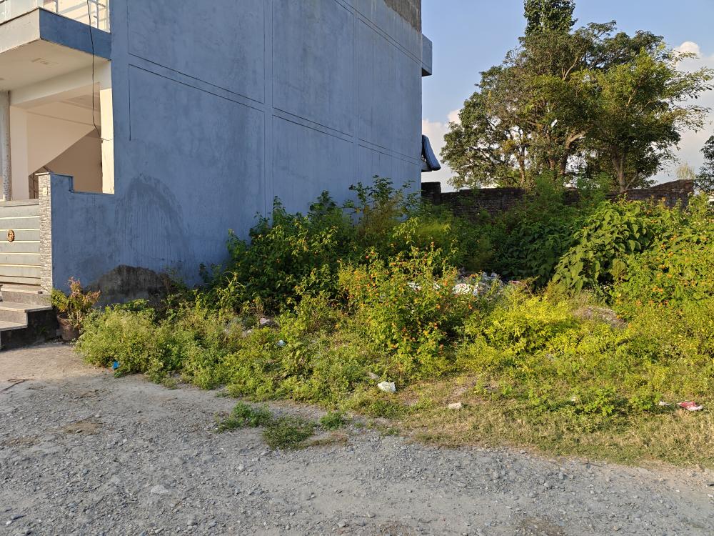 pondha plot2